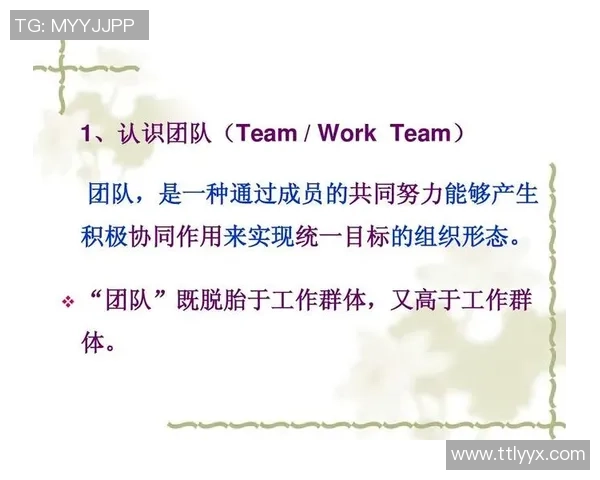 深圳足球队进攻体系解析：战术创新与团队协作的完美结合